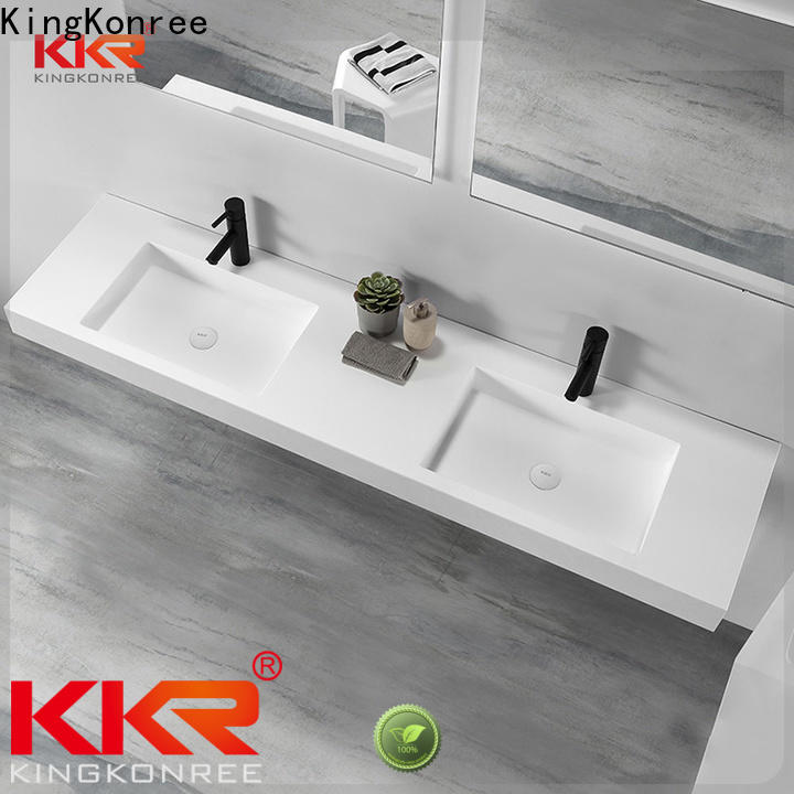 royal wall hung double basin sink for home